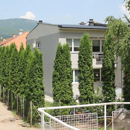 Apartman Kej Pirot Zewnętrze zdjęcie